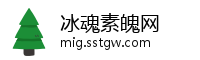 冰魂素魄网